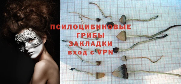 Альфа ПВП Аркадак