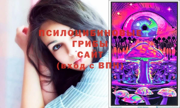Альфа ПВП Аркадак