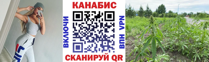 Бошки Шишки VHQ  Абдулино 